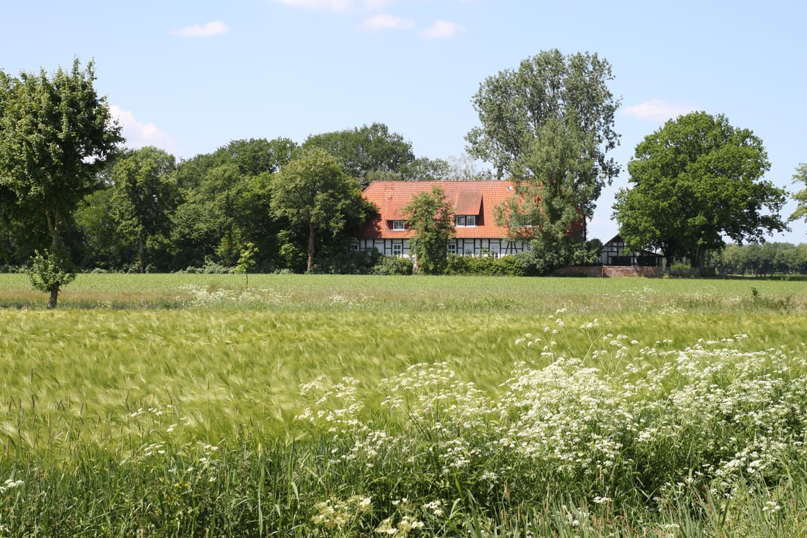 Burlage von weitem, Südansicht