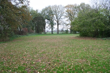 Garten im Herbst